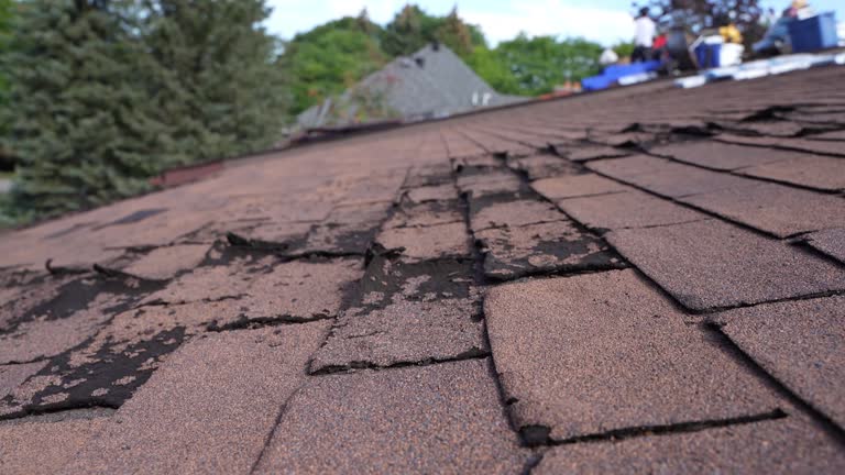 Best Roof Moss and Algae Removal  in Jonestown, PA